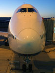 Aircraft Nose